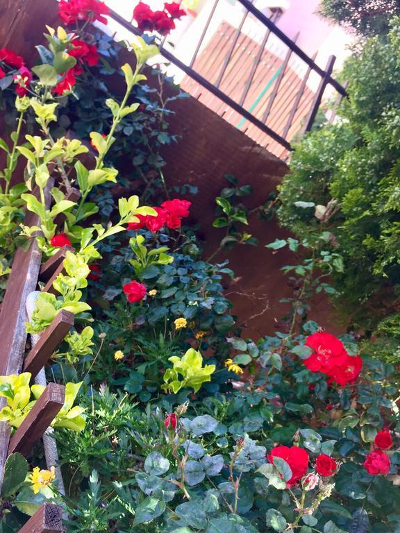 B&B Limone San Leone Εξωτερικό φωτογραφία